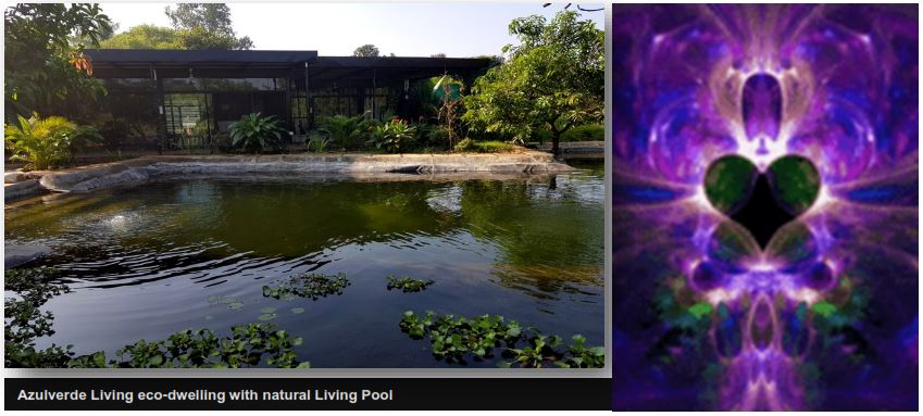 Azulverdeliving ecodwelling with natural living pool